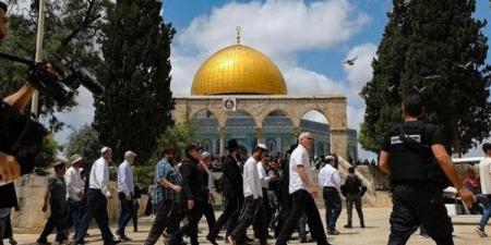 أعداد كبيرة من المستوطنين تقتحم الأقصى وعدوان مستمر في الضفة - اخبارك الان