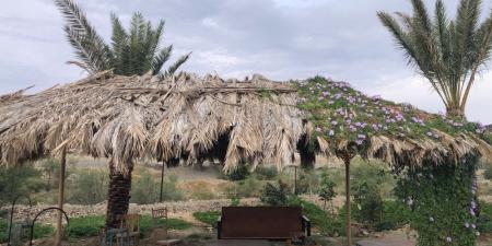 المزارع السياحية بالباحة.. تجربة ساحرة في أحضان الطبيعة - اخبارك الان