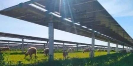 الاقتصاد الأمريكي ينكمش بسبب الواردات وترامب في مرمى الانتقادات - اخبارك الان