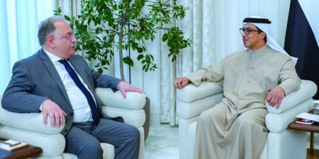 منصور بن زايد يستقبل وزير المالية السوري - اخبارك الان