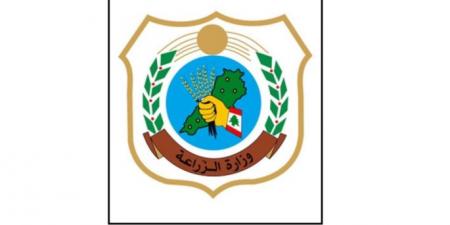 وزارة الزراعة تابعت بلاغا عن اصطياد أسماك قرش وبيعها ونظمت محضر ضبط بالمخالفين - اخبارك الان