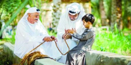 «بركة الدار».. أندية اجتماعية لدعم كبار المواطنين - اخبارك الان
