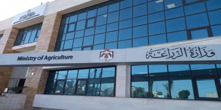 وزارة الزراعة: فتح باب استيراد الليمون لشهرين نظراً لارتفاع الأسعار - اخبارك الان