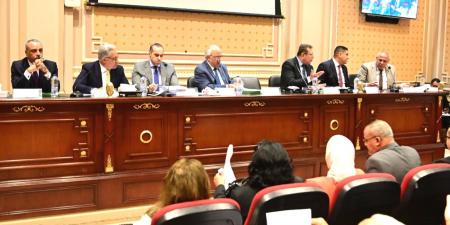 الوزير فوزي: المحكمة الدستورية أصدرت 39 حكما متعلقا بالإيجار القديم منهم 26 حكما بعدم الدستورية - اخبارك الان
