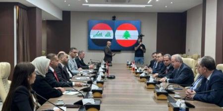 وزيرا المالية والطاقة بحثا مع وزير الكهرباء العراقي ومعنيون في شؤون الكهرباء - اخبارك الان