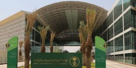المملكة تنضم إلى اتفاقية الفاو لمكافحة الصيد البحري - اخبارك الان