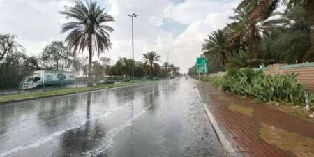 الأرصاد: أمطار غزيرة على منطقة عسير - اخبارك الان