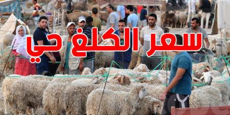 نحو تحديد سعر الكلغ الحي من أضاحي العيد - اخبارك الان