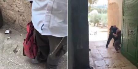 لأول مرة.. مستوطنون يُدخلون قربانا حيوانيا لباحات المسجد الأقصى - اخبارك الان