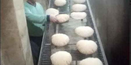 طنان و200 كيلو جبنة وملح و 172 نوع مبيدات مجهولة - اخبارك الان