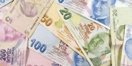 سعر الليرة التركية اليوم الأحد 18 مايو 2025 يشهد تقلبات حادة أمام العملات الرئيسية - اخبارك الان