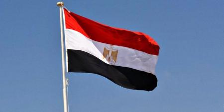 الأردن والإمارات والبحرين تعزي مصر في حادث سقوط طائرة - اخبارك الان