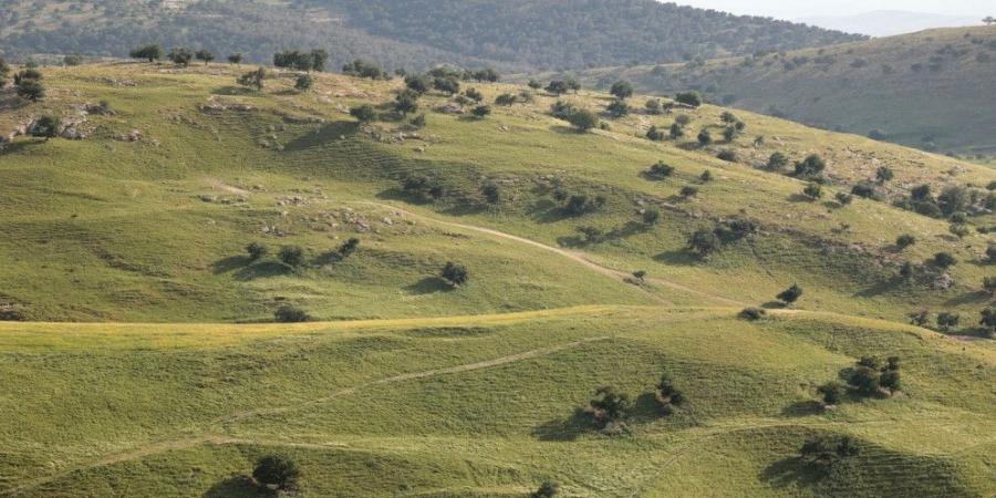 الأرصاد: أجواء ربيعية لطيفة نهار الجمعة وباردة ليلاً - اخبارك الان