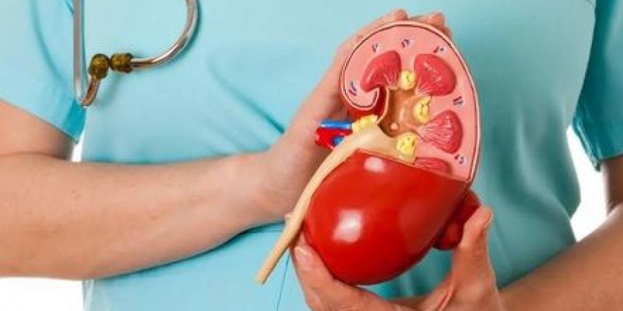حصوات الكلى تهددك في الصيف... تجنّبها بهذه النصائح - اخبارك الان