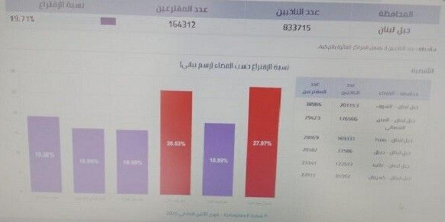 "النشرة": نسبة الاقتراع في محافظة جبل لبنان بلغت حتى اللحظة 19.71 بالمئة - اخبارك الان