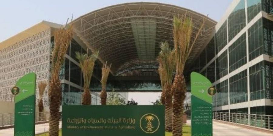 المملكة تنضم إلى اتفاقية الفاو لمكافحة الصيد البحري - اخبارك الان