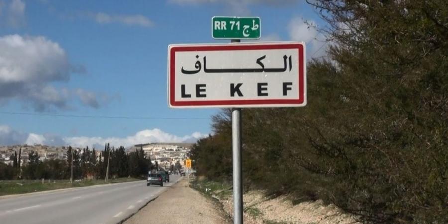 الكاف: تساقط البرد يخلف اضرارا بمزارع الحبوب (الاتحاد الجهوي الفلاحة) - اخبارك الان
