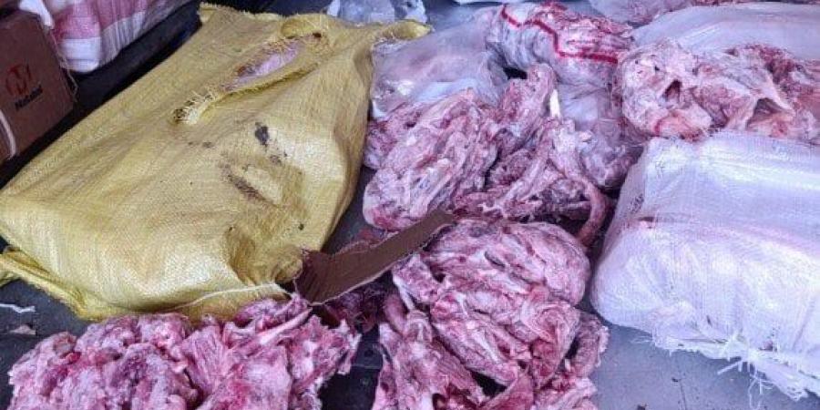 كارثة بالخانكة.. ضبط 10 أطنان هياكل دواجن مجهولة المصدر داخل مصنع لحوم - اخبارك الان