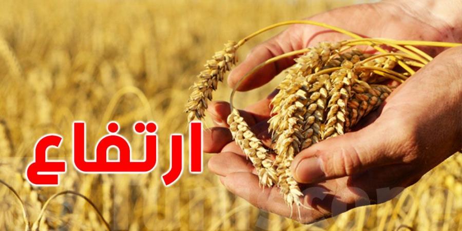 إنتاج الحبوب يرتفع بأكثر من 58% بفضل الظروف المناخية الملائمة - اخبارك الان