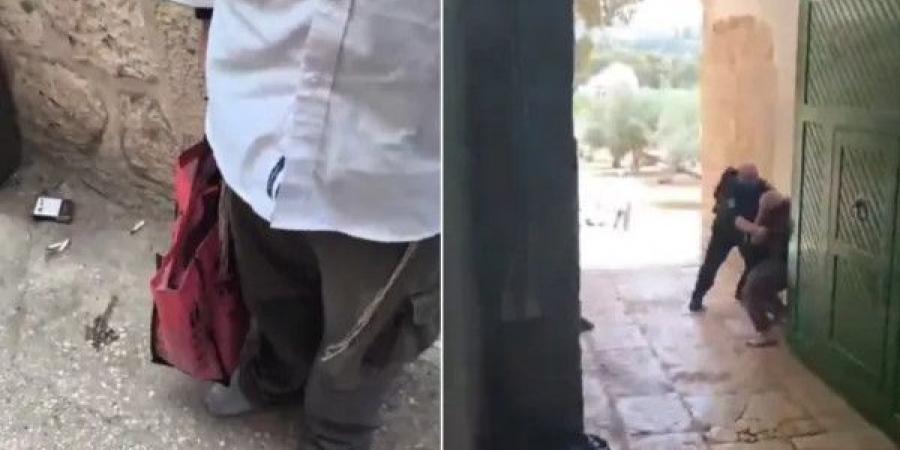 لأول مرة.. مستوطنون يُدخلون قربانا حيوانيا لباحات المسجد الأقصى - اخبارك الان