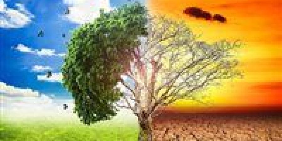 من السماء إلى الأرض... استراتيجية مبتكرة لمكافحة أزمة المناخ| تفاصيل - اخبارك الان