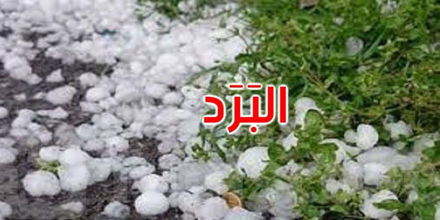 القصرين: البَرَد يلحق أضرارا متفاوتة بالزراعات الكبرى والزياتين والأشجار المثمرة - اخبارك الان
