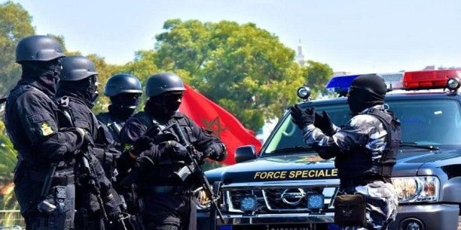 المغرب يعلن إحباط مخطط إرهابي - اخبارك الان