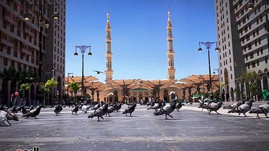 استقبال مهيب لحجاج القرعة في المدينة المنورة (24) استقبال مهيب لحجاج القرعة في المدينة المنورة (24)