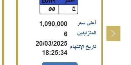 تخطت مليون جنيه.. المرور تطرح لوحدة معدنية مميزة بحروف «ج - 55» - اخبارك الان