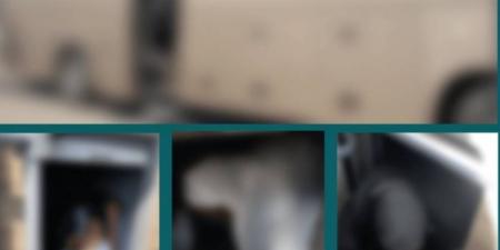 ضبط مقيم حاول إيصال (4) وافدات إلى مكة دون تصريح - اخبارك الان