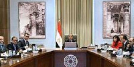 رئيس الوزراء: إجمالي المبيعات من مراحل مبادرة «بيت الوطن» وصل إلى نحو 10 مليارات دولار حتى الان - اخبارك الان