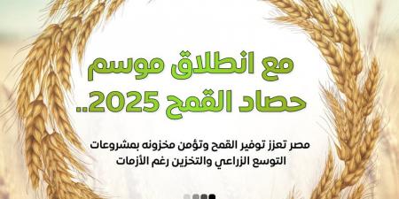 إعلام الوزراء: 3.1 مليون فدان قمح وأصناف جديدة عالية الإنتاجية ودعم غير مسبوق للمزارعين في موسم توريد 2025 - اخبارك الان