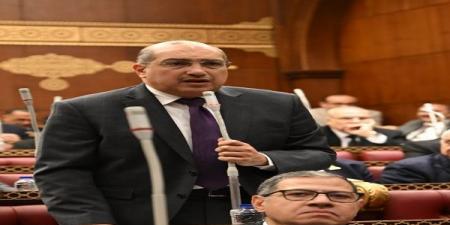 رئيس برلمانية الشعب الجمهوري بالشيوخ يطالب بسد الثغرات التشريعية لمواجهة الجرائم الإلكترونية - اخبارك الان