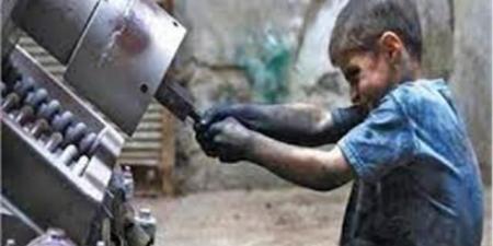  ضوابط عمالة الأطفال وفقا للقانون.. تعرف عليها - اخبارك الان