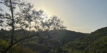 لبنان الذي لا يُدنى منه - اخبارك الان