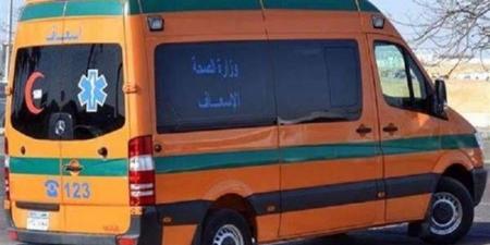 إصابة 12 شخصا في انقلاب ميكروباص بالشرقية - اخبارك الان