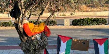 غصن الزيتون يحتج اعتصام رمزي ونوم فوق الأشجارقرب سفارة كبرى بنيقوسيا تضامناً مع غزة - اخبارك الان