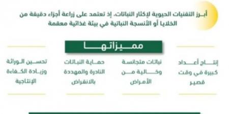 ”استدامة“: إنتاج 73 ألف شتلة بتقنية الزراعة النسيجية - اخبارك الان