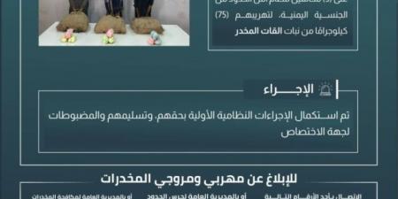 حرس الحدود بعسير يقبض على 3 مخالفين لنظام أمن الحدود لتهريبهم 75 كلجم من نبات القات المخدر - اخبارك الان
