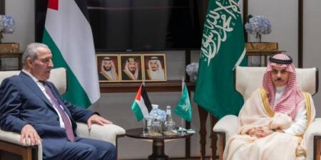 وزير الخارجية ونائب رئيس دولة فلسطين يناقشان تعزيز العمل المشترك - اخبارك الان