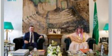 نائب وزير الخارجية يستقبل سفير جمهورية تركيا لدى المملكة - اخبارك الان