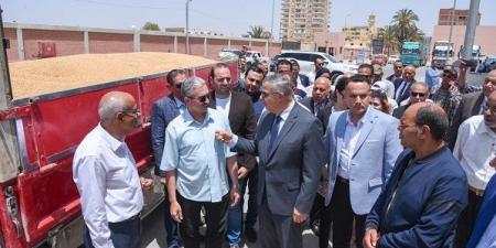 بحضورالمحافظ.. انطلاق موسم توريد القمح بالاسكندرية - اخبارك الان