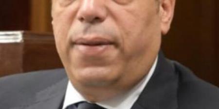 الصافي عبد العال: زيارة الرئيس لروسيا تؤكد نجاح مصر في صياغة سياسة خارجية متوازنة تقوم على المصالح المشتركة - اخبارك الان