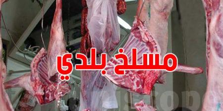 شركة اللحوم: أغلب معدات نقل اللحوم والمسالخ غير مطابقة للمواصفات الصحية - اخبارك الان