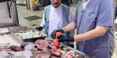 “بيئة الطائف” تبدأ استخدام جهاز حديث لفحص سلامة اللحوم والأسماك في أسواق النفع العام - اخبارك الان
