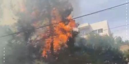 فيديو .. حريق أعشاب جافة بطريق صويلح - طلوع عين الباشا - اخبارك الان