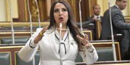 نشوى الشريف "نائبة التنسيقية": منحة الاتحاد الأوروبي لدعم استراتيجية السكان تتوافق مع أولويات خطة التنمية الوطنية لصعيد مصر - اخبارك الان