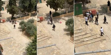 حراس المسجد الأقصى يمنعون مستوطنين من تهريب خروف لذبحه في ساحات المسجد - اخبارك الان
