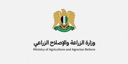 وزارة الزراعة: تعديل الخطة الزراعية للمحاصيل الصيفية بسبب الجفاف الشديد‏ - اخبارك الان
