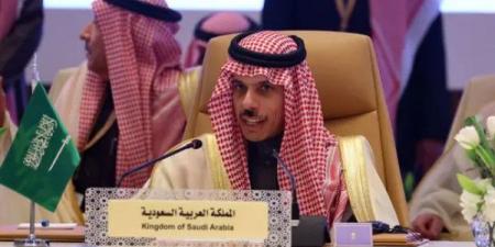 وزير الخارجية السعودي: اتفقنا على ضرورة وقف الحرب في غزة وتدفق المساعدات الإنسانية - اخبارك الان